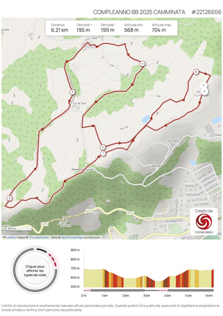 COMPLEANNO BB CAMMINATA 2025 TOPO
